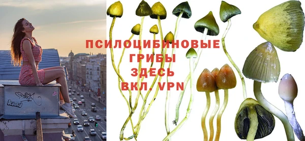 mdma Верея