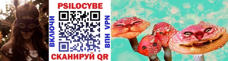 Галлюциногенные грибы Psilocybine cubensis  Муром 